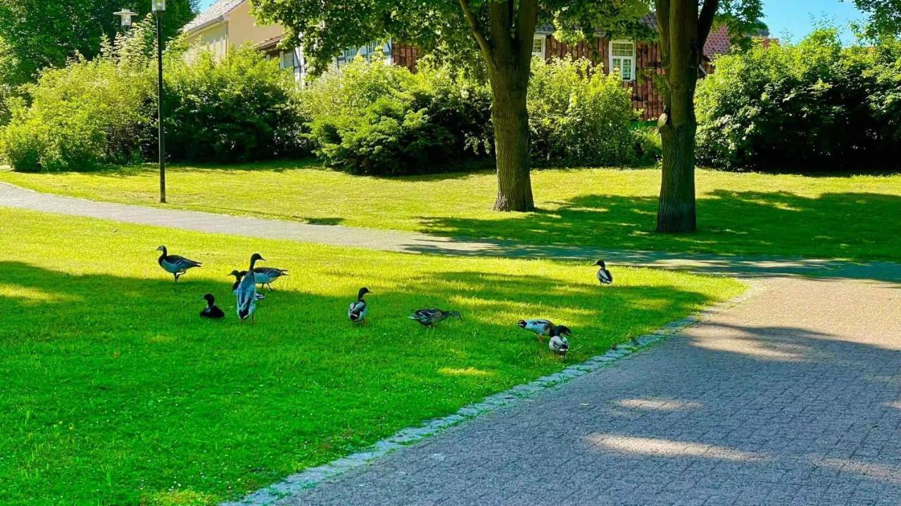 Gaestehaus Ambiente Am Kurpark Bad Sooden-Allendorf Exterior foto